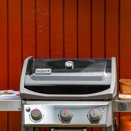 Bv369-blavand-hedevej-8 Prázdninový dům *